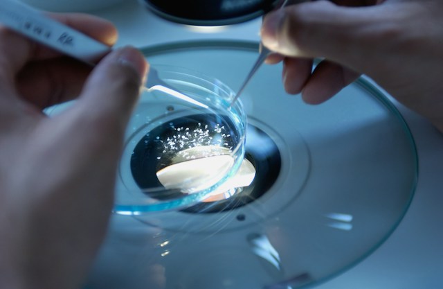NMPA stands for the National Medical Products Administration