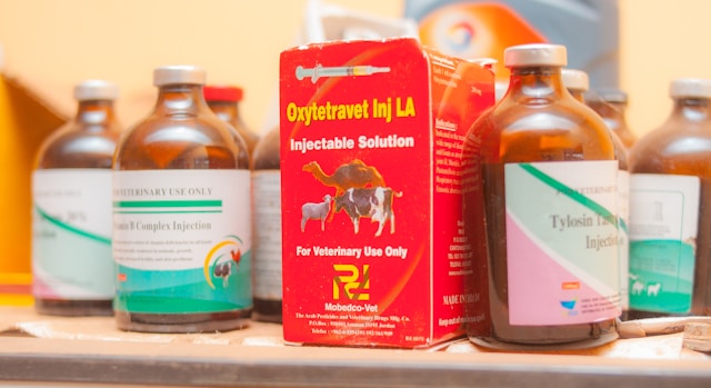 What Are the Latest Trends in China's Veterinary Drug Registration?