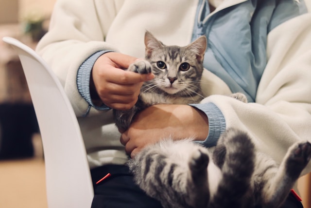 How to register veterinary diagnostic reagents in China?